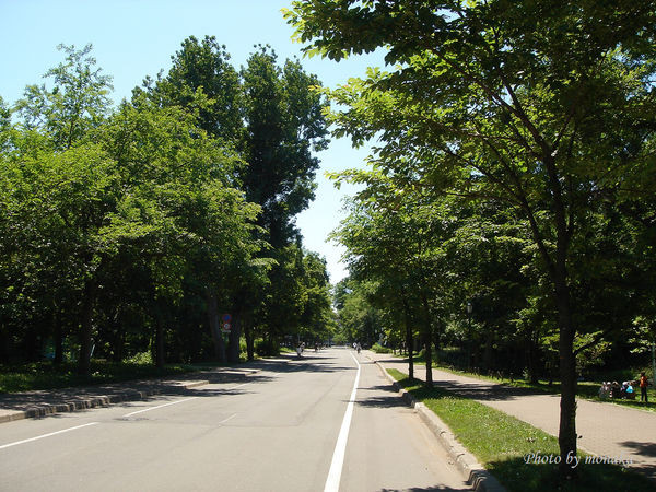 北海道大學。（圖／摩那卡）