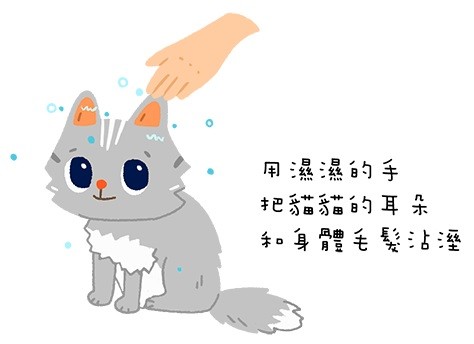 貓貓好熱怎麼辦？炎夏降溫的4個簡單方法（圖／毛起來 MaoUp）