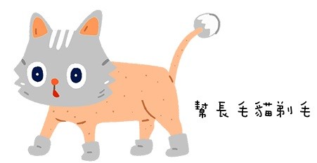 貓貓好熱怎麼辦？炎夏降溫的4個簡單方法（圖／毛起來 MaoUp）