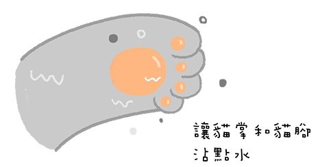貓貓好熱怎麼辦？炎夏降溫的4個簡單方法（圖／毛起來 MaoUp）