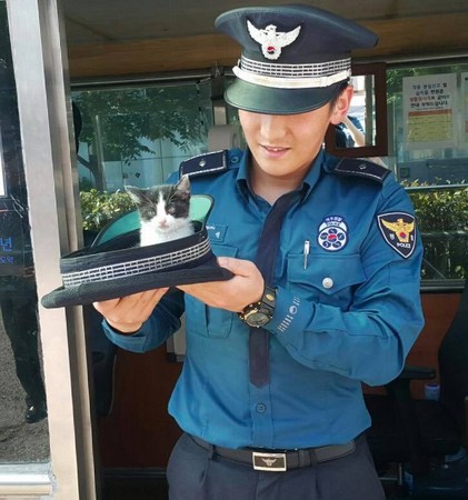 ▲釜山警方照顧小貓。（圖／翻攝自부산경찰）