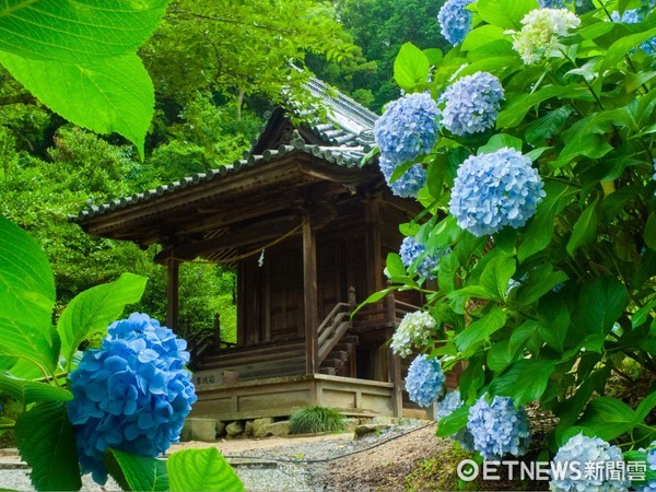 ▲▼日本岡山縣吉備津神社。（圖／J&T CONTENTS提供）