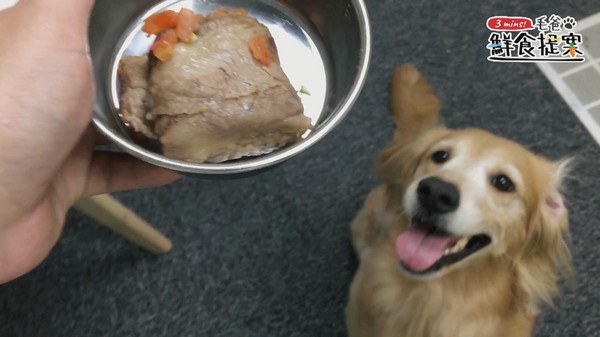 毛孩無法抗拒的軍艦級美味－南瓜牛肉捲（圖／毛起來 MaoUp）