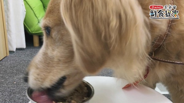 毛孩無法抗拒的軍艦級美味－南瓜牛肉捲（圖／毛起來 MaoUp）