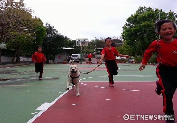 ▲米克斯狗狗成偏鄉國小「最棒陪讀」　學生搶著帶牠散步。（圖／Mi Wang提供）