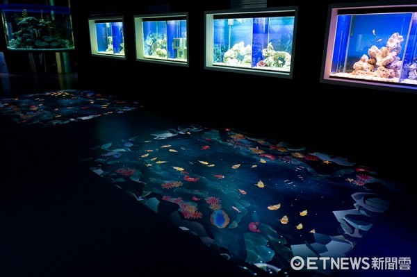 台東成功鎮打造全台第一座海洋藝術展館，試營運期間，不分大小每人只要100元票價。（圖／台東海洋夢想館提供）
