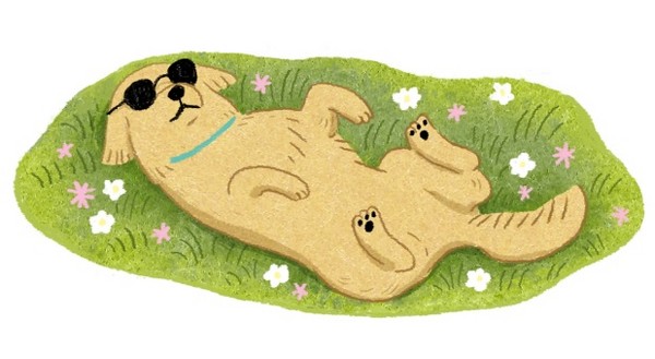 曬太陽好處多!狗狗貓貓出門補鈣去!(圖/毛起來 MaoUp)