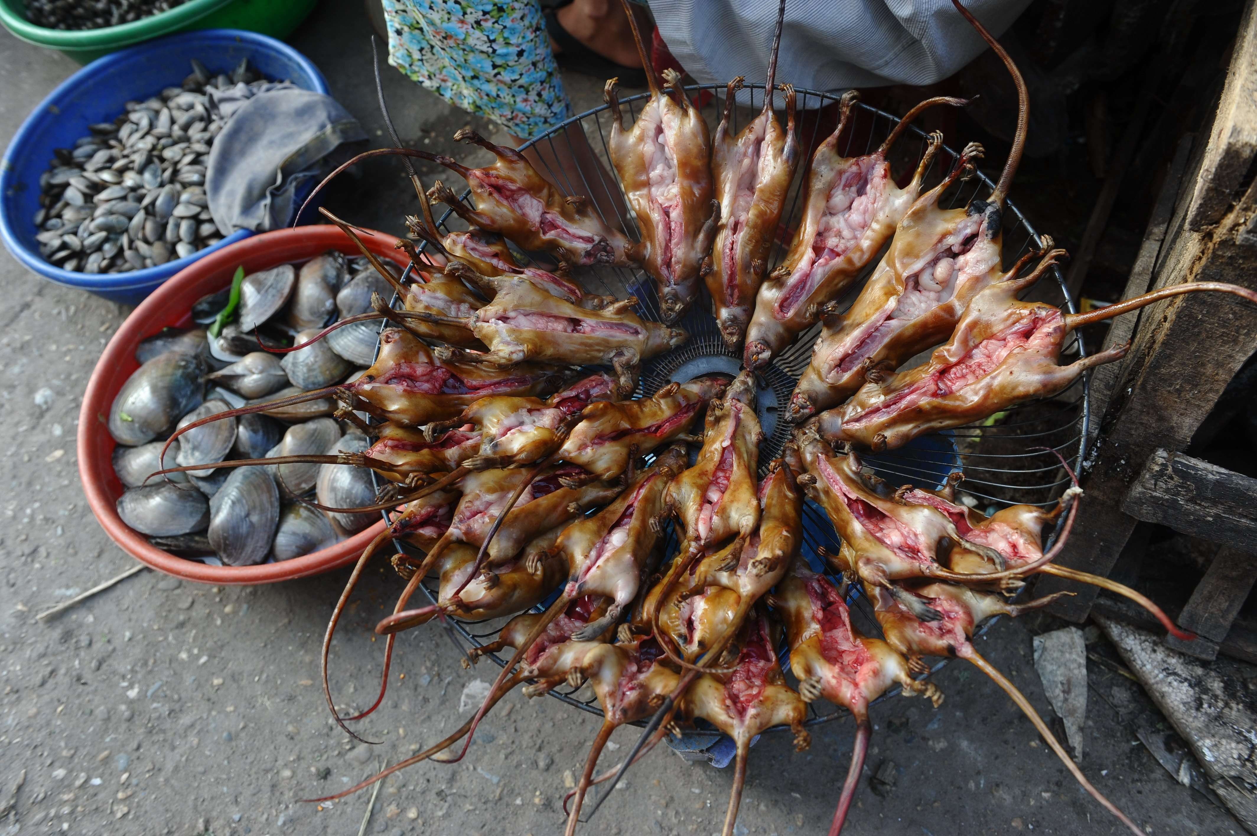 Едят ли крыс. Рынок морепродуктов в Ухане. Вьетнамский рынок Вьетнам мясной крысы.