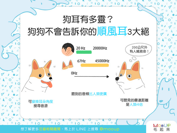 狗狗順風耳真有其事?原來就靠這3大絕招!(圖/毛起來 MaoUp)