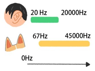狗狗順風耳真有其事?原來就靠這3大絕招!(圖/毛起來 MaoUp)