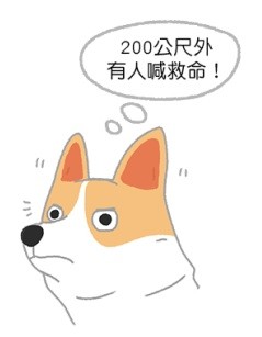 狗狗順風耳真有其事?原來就靠這3大絕招!(圖/毛起來 MaoUp)