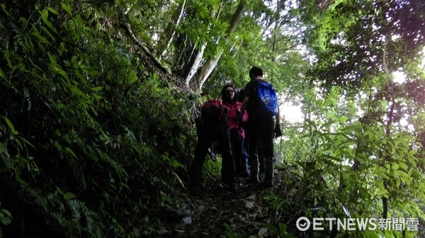 ▲▼王姓婦人攀登馬崙山，因頭部遭落石擊中，昏厥跌落溪谷，3日已經獲救。（圖／記者莊智勝翻攝）