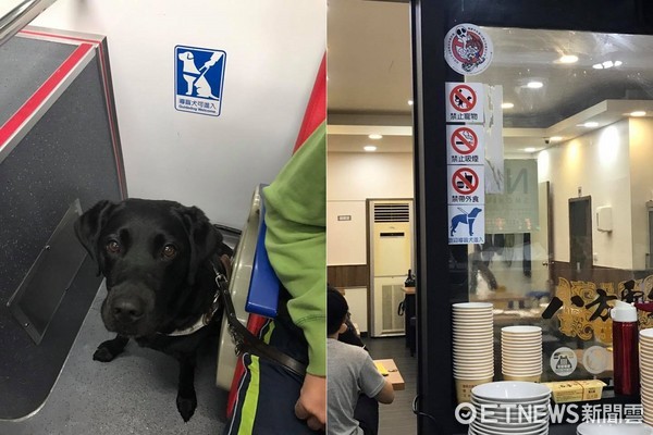 ▲▼導盲犬遭要求綁店外　員工堅持「狗很大客人會怕」。（圖／取自粉絲專頁「Nikki的導盲犬人生」）