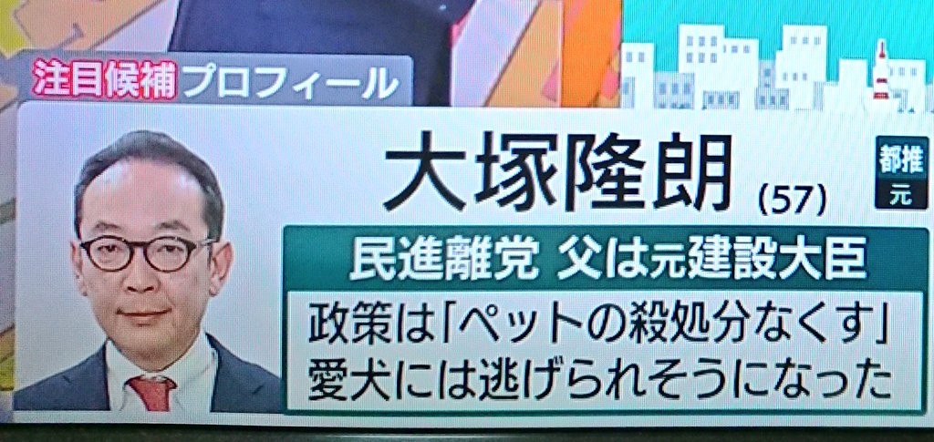 ▲大塚隆朗的政策是「取消流浪寵物安樂死」，結果自己的愛犬差點離家出走。（東京電視台）（圖／翻攝自tokyoxxxclub推特）