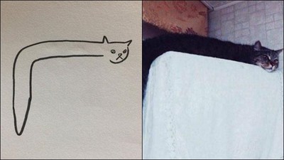 「土龍喵」素描版超可愛　貓奴私訊淹沒作者：我也要畫～