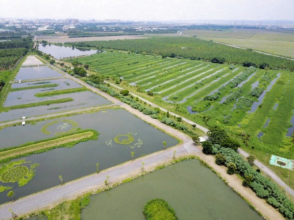 ▲▼海豐崇蘭舊圳人工溼地空拍（左為2期右為1期）             。（圖／屏東縣政府提供）