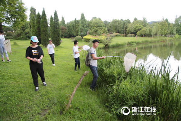 ▲暑假作業「活捉300隻昆蟲」　大學生每天拿網子在公園遊蕩。（圖／浙江在線）