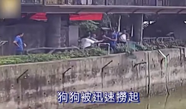 ▲淹城動物園再現驚心一幕！（圖／翻攝自YouTube）