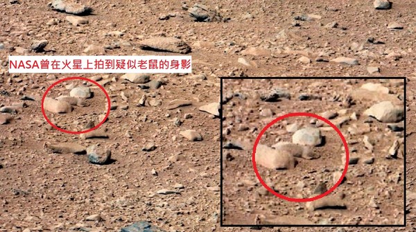 ▲▼火星出現老鼠身影。（圖／翻攝自NASA官網）