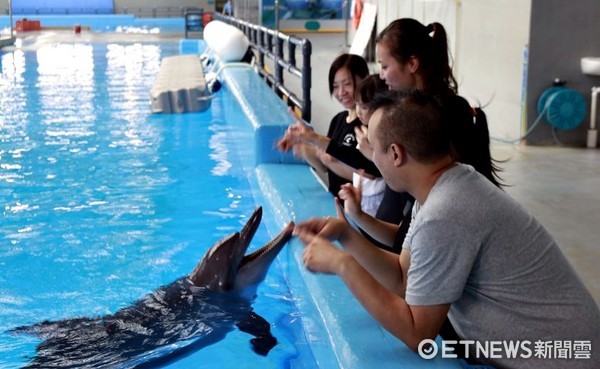 ▲▼香港海洋公園約會海豚。（圖／記者蔡玟君攝）