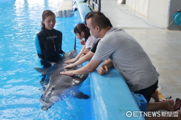 ▲▼香港海洋公園約會海豚。（圖／記者蔡玟君攝）