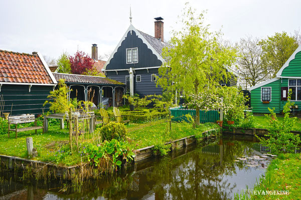 荷比盧自助12天----Zaanse Schans風車村。（圖／Evangeline-Evan）