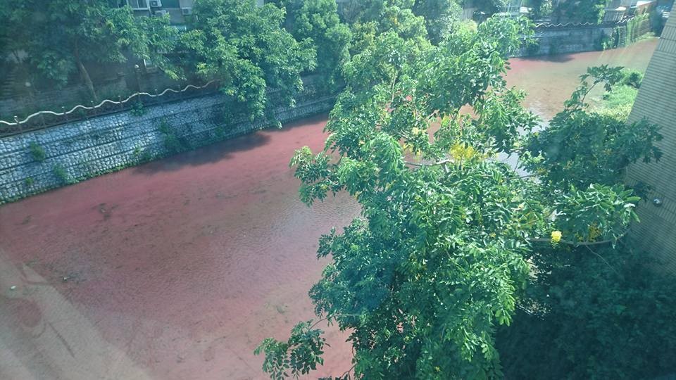 ▲新竹縣竹北市豆子埔溪遭汙染，溪水呈現出詭異的暗紅色。（圖／翻攝自「新竹爆料公社」臉書）