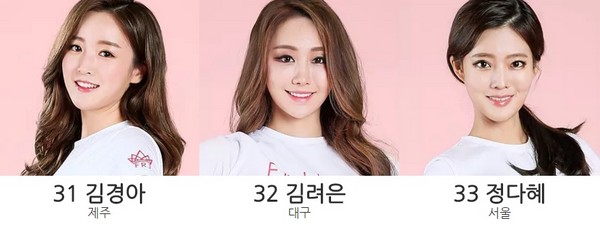 ▲▼33名進入決賽的南韓選美小姐。（圖／翻攝自「misskorea」官方網站）