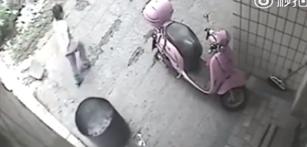 ▲▼福建省晉江市一名男童把鄰居家的狗，丟進金爐裡燒死。（圖／翻攝自梨視頻）