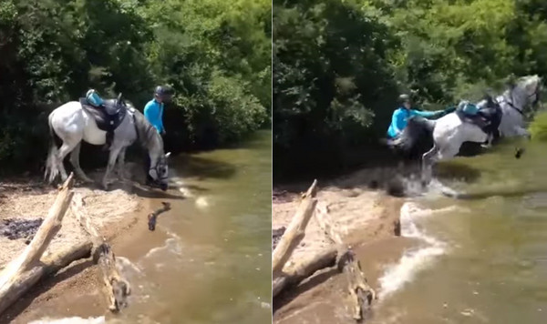 白馬低頭以為要喝水，下一秒跳進河流。（圖／翻攝自Justine Oakwood臉書）