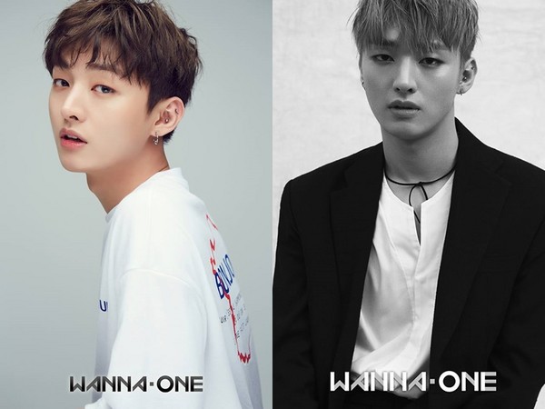 ▲男團Wanna One公開兩組宣傳照，正舉辦配對票選。