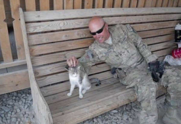 ▲美國大兵愛上阿富汗浪貓　讓牠飛「10萬公里」成為家人。（圖／　翻攝自LoveMeow）