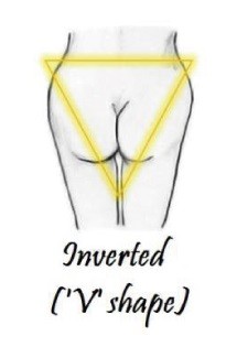 4種臀型的訓練方式。(圖/翻攝自日本網站《Girly》)