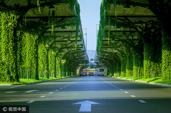 成都二環路高架變清涼「綠色隧道」。（圖／CFP）
