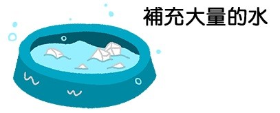 狗狗好熱怎麼辦？4招讓牠涼一夏！（圖／毛起來 MaoUp）
