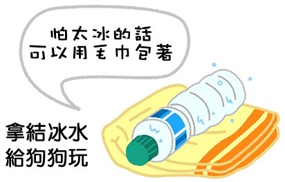 狗狗好熱怎麼辦？4招讓牠涼一夏！（圖／毛起來 MaoUp）