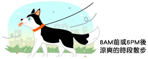 狗狗好熱怎麼辦？4招讓牠涼一夏！（圖／毛起來 MaoUp）