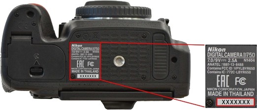 Nikon D750單眼快門模組二度出包。（圖／翻攝自官網）