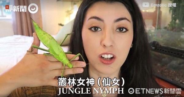 ▲▼Emzotic與Jungle Nymph(叢林女神)。（圖／即新聞）