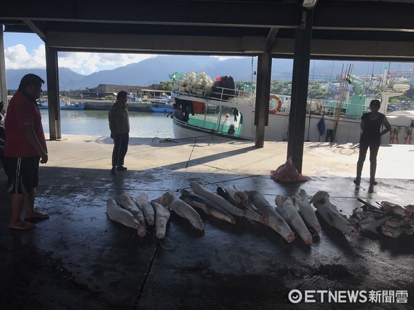 東港籍興○貳號漁船違反漁業署「鯊魚鰭不離身」相關規定，違規事證函送主管機關裁處。(圖／第一三岸巡總隊提供)