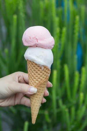 義式冰淇淋「芋頭」綿滑清香、「草莓 」芬馥香甜，可以指定用甜筒裝著，就能拿著在店邊小巷散步、跟店貓玩耍。（35元／球，甜筒加收10元）
