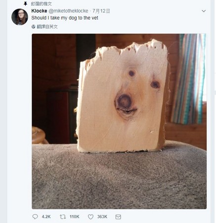 ▲▼網友分享有狗臉的木板。（圖／翻攝Klocke@miketotheklocke推特）