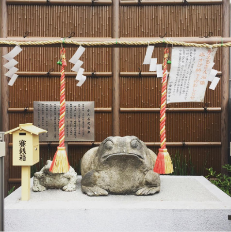 ▲日本可愛動物御神籤5選（圖／翻攝自instagram）