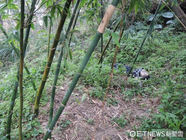 ▲五股觀音山棄屍案，警逮捕邱姓、張姓、曹姓3名主嫌及2名青少年，全案依殺人罪嫌移送法辦。（圖／資料趙）