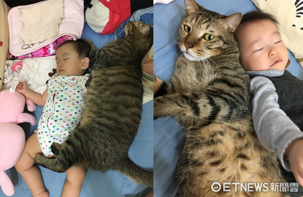 ▲貓咪小樂樂跟小嬰兒一起睡覺。（圖／網友Apple Hong提供，請勿隨意翻拍，以免侵權。）