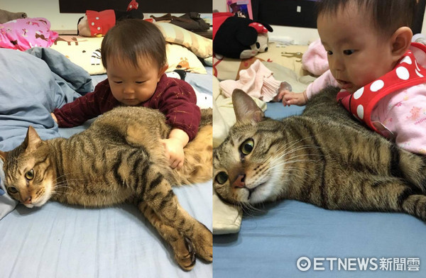▲貓咪小樂樂跟小嬰兒一起睡覺。（圖／網友Apple Hong提供，請勿隨意翻拍，以免侵權。）