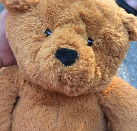 意外發現泰迪熊玩偶錄音（圖／翻攝自Facebook／Amanda Fields）