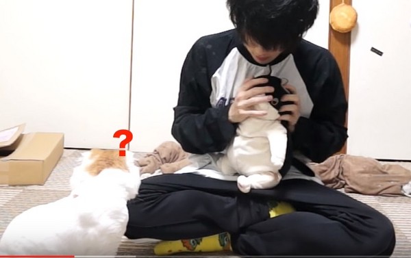 (圖/翻攝自YouTube/ワタナベマホト)