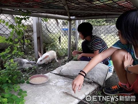 ▲▼雲林斗六林頭國小的「生態園區」。（圖／林頭國小提供）