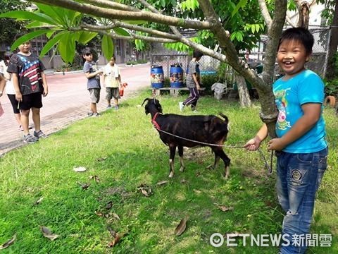 ▲▼雲林斗六林頭國小的「生態園區」。（圖／林頭國小提供）